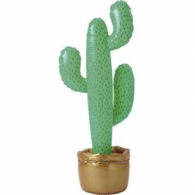 Opblaasbare cactus