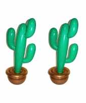 Pakket van 2x stuks opblaasbare planten cactus 90 cm